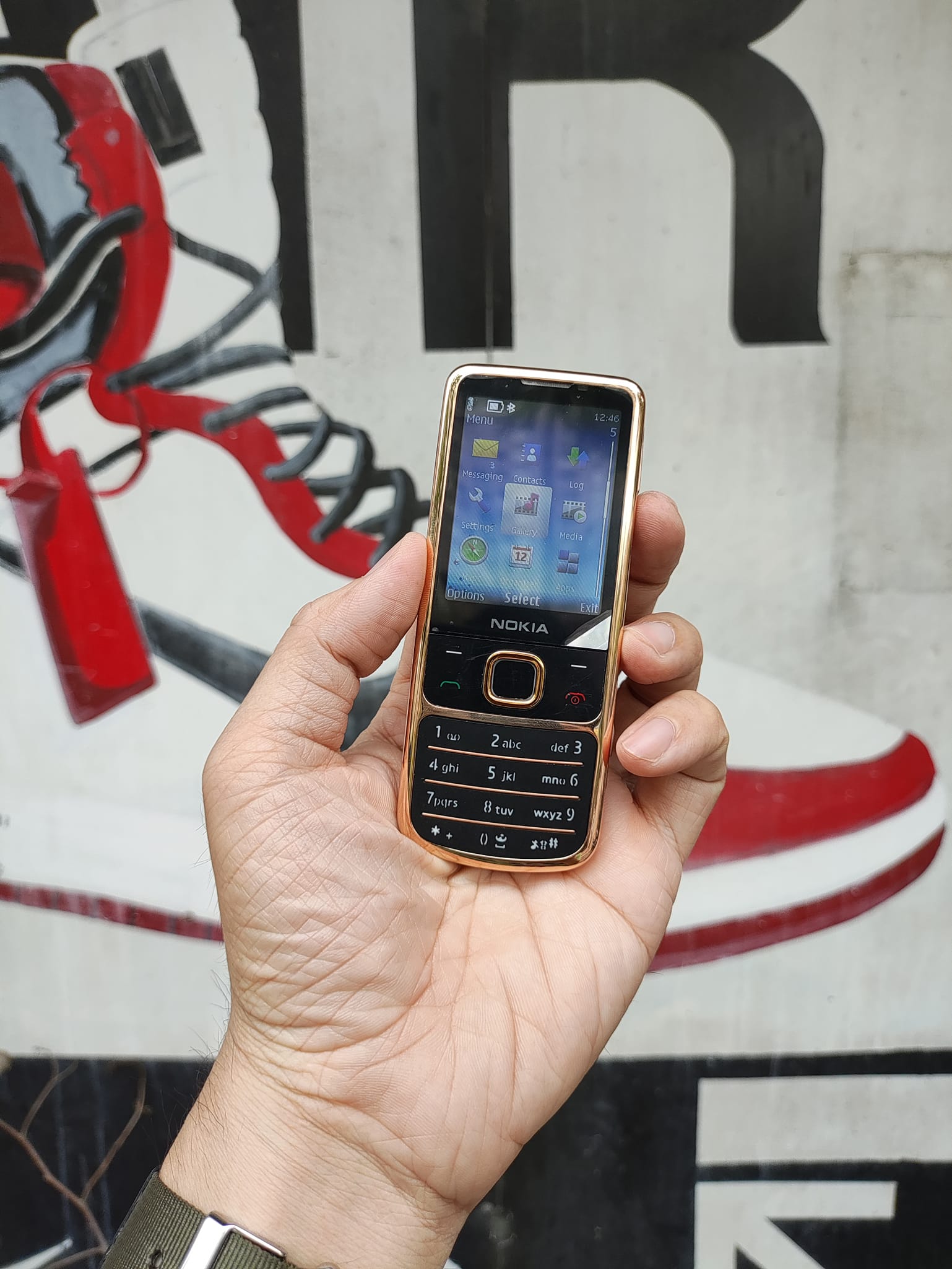 Điện thoại Nokia 6700 Black Gold Rose cao cấp